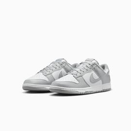 Zapatilla Nike Dunk Low Retro